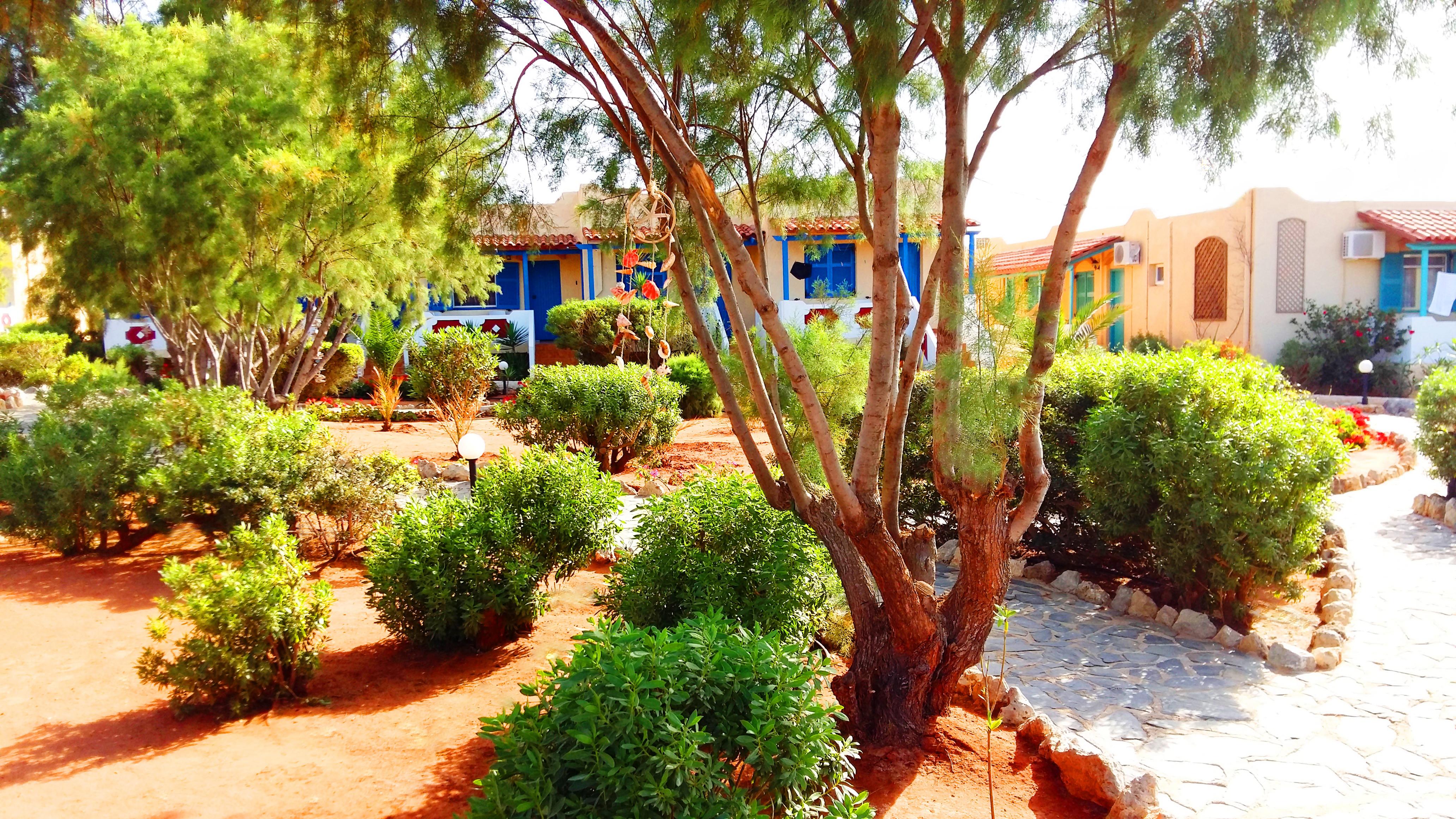 Zorbas Beach Village Hotel Stavros  Ngoại thất bức ảnh